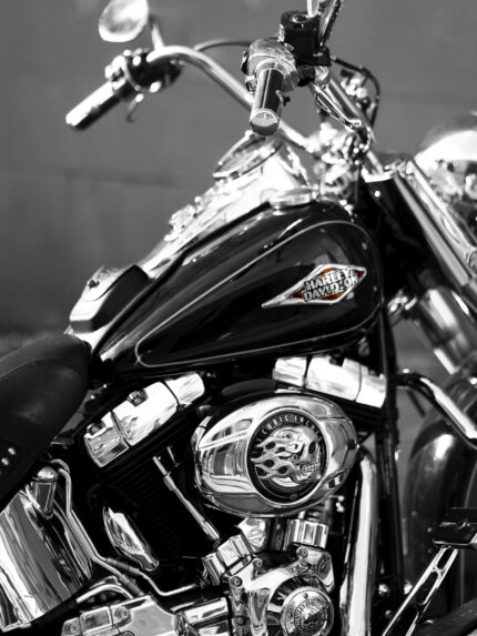 Harley Davidson